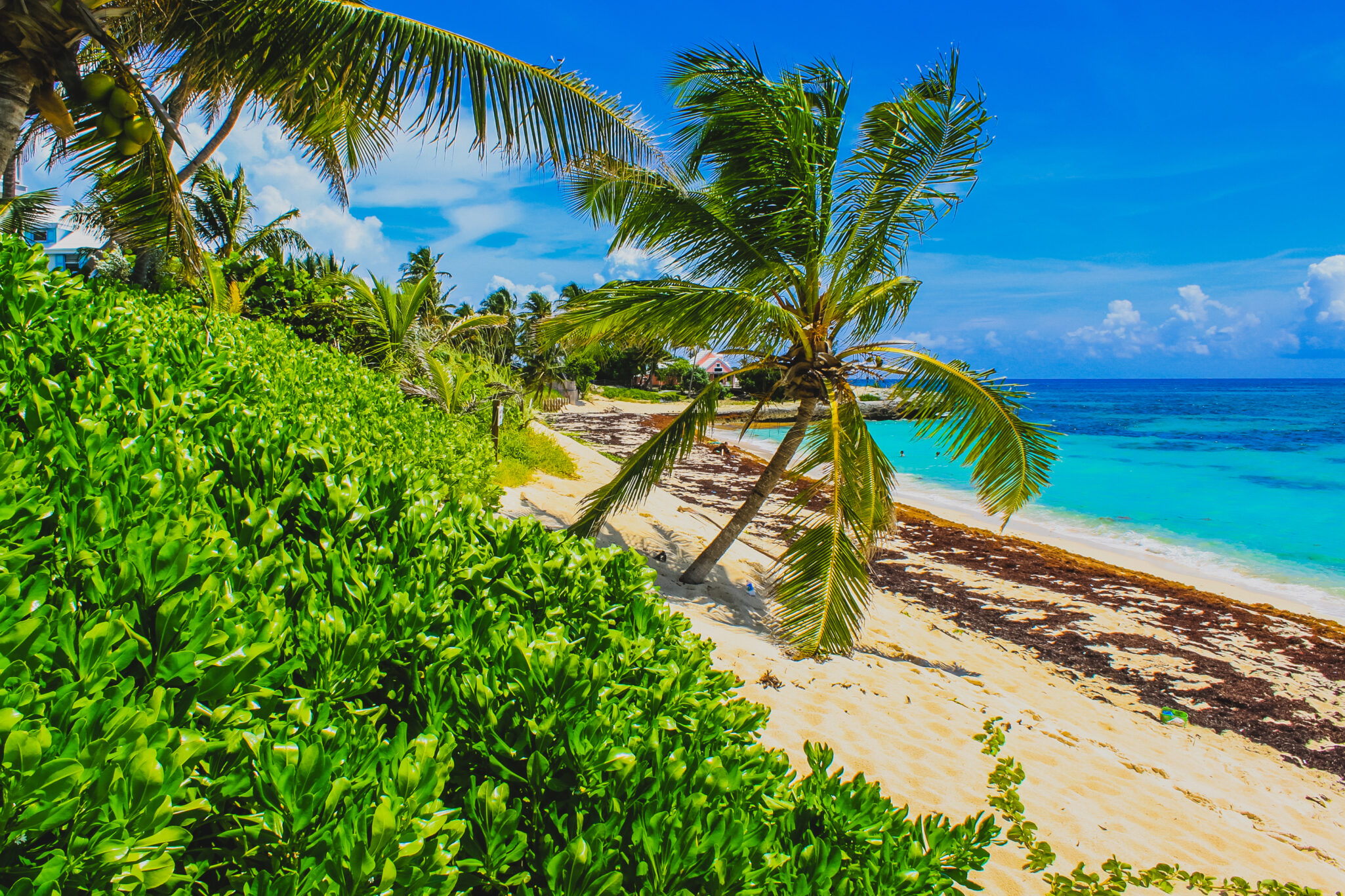 7 Days in the Abacos